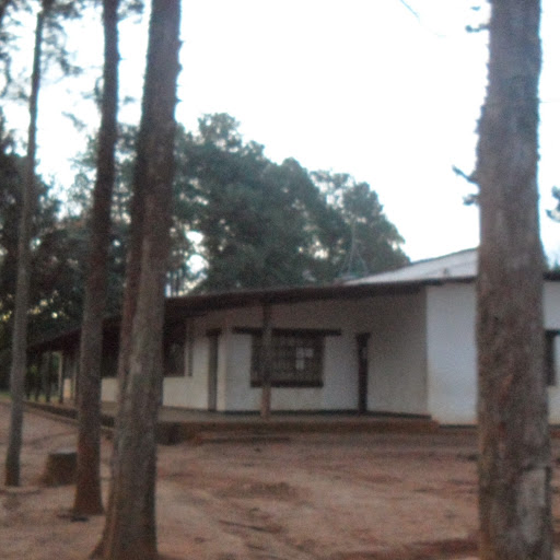 Onesphore Ntakarutimana