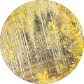 Bloch & Chapleau, Cates, Ongert - Edwards, Colorado
