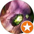 Avatar de Stéphane.o