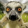 Jose Manuel Herrera's profile photo
