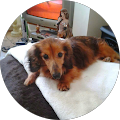 AJAX Property Management Bookkeeping & Secretarial Services - Gillingham