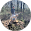 Max Eisinga profile picture