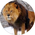 Review Author Image