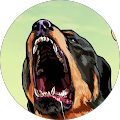 Avatar de Kirma.