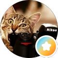 Alex B avatar