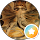 Arda OZTURK profile picture