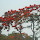 sutandra's profile photo
