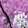 kosson al's profile photo