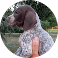 Avatar de Martine.r