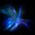 Nick Liang's profile photo
