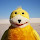 Kotix's profile photo