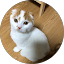 まぐつなとろみけ