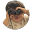 Makoto Satoh