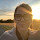 Tracy Hipp's profile photo