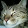 Romi Ale's profile photo
