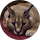 cristi_frt profile picture