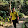 Soumyadeep Mukherjee's profile photo