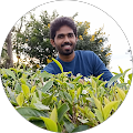 Krishna Kumar