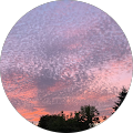 Avatar de Élodie.g