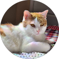 User profile - Stefanie Hegyi.