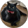Mary Christianson profile picture