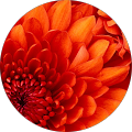 Farmers Insurance - Juan Fuentes - La Verne, California