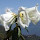 Bhaskar Saikia's profile photo