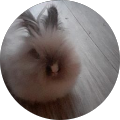 Avatar de Rodriguez.a