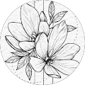Avatar de Cécile.e