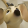 Eugene Fokin's profile photo
