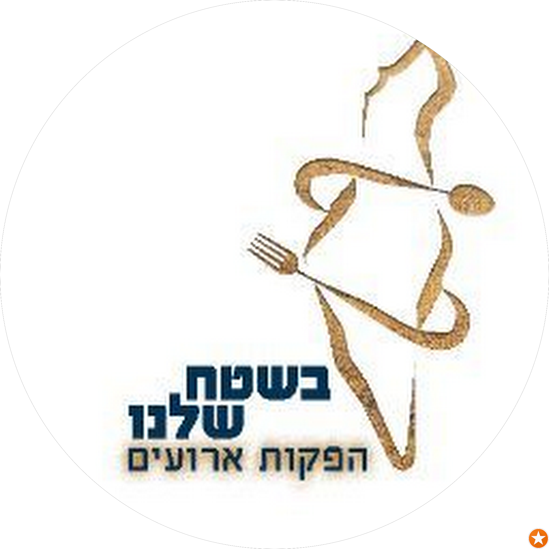 תמונת מבקר