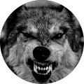 Avis de Wolf. avec une note de 2 sur 5