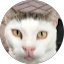 Maciejw