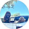 PrimeLending, A PlainsCapital Company - Woodland CA - Woodland, California