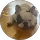 Susan H profile picture