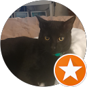 Terri Vigil's profile image
