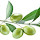 ayary karim's profile photo