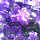 pintar...@gmail.com's profile photo