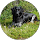 Thea van den Besselaar profile picture