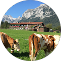 Bellmer Energietechnik GmbH - 