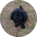 Avatar de Christian.e