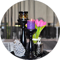 Dierenhotel Betuwse Weide Heteren - Heteren