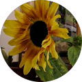Yellow Brick Wills and Estate Planning Limited - Norwich