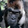 Rinaldo Accioly's profile photo