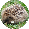 Avatar de Stéphanie.c