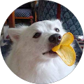 Avatar de Chrykers.