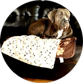 Lovey Junior