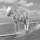 Mister Ed's profile photo