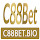 C88Bet Bio's profile photo