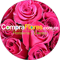 FLORISTERIA COMPRA FLORES